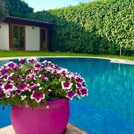 Holiday home Ara Town House *